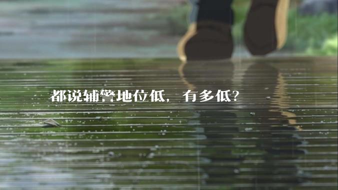 都说辅警地位低，有多低？