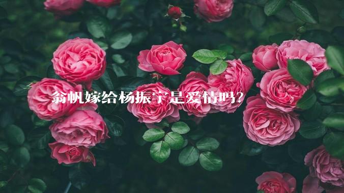 翁帆嫁给杨振宁是爱情吗？